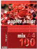 Papier A4 160 g MIX KOLORÓW 100 szt. Kreska