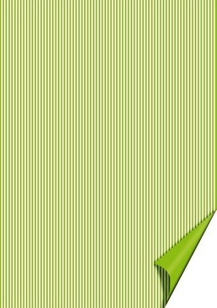 Papier do scrapbookingu dwustronny A4 PASKI JASNOZIELONE Heyda