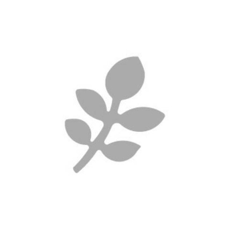 Dziurkacz ozdobny 1,6 cm LIŚĆ RÓŻY dpCraft