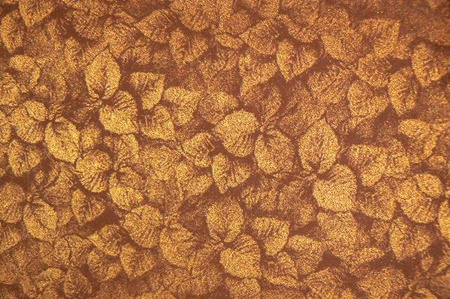 Karton ozdobny wizytówkowy A4 SIŁA ZIELENI Galeria Papieru