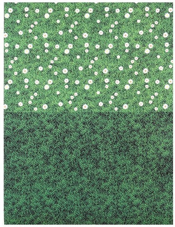 Blok z motywami A4 NATURA happy color