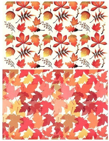 Blok z motywami A4 NATURA happy color