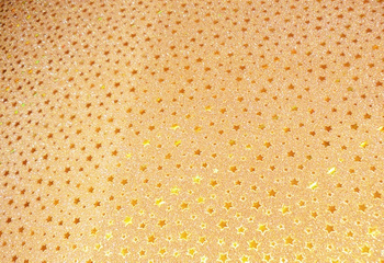 Karton brystol papier A2 42 × 60 cm ZŁOTE GWIAZDKI BROKAT METALIZA 220 g/m2 Cormoran