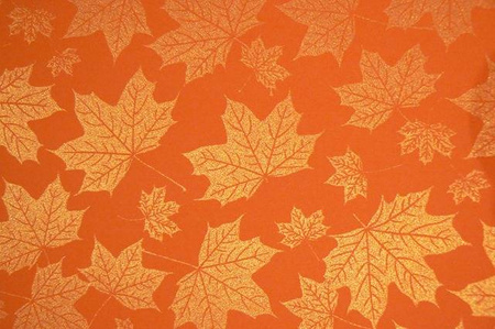 Karton ozdobny wizytówkowy A4 MOC BARW JESIEŃ Galeria Papieru