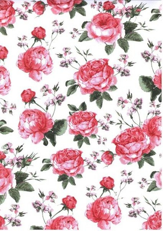 Papier do scrapbookingu jednostronny A4 GARDEN zestaw (blok kreatywny) INTERDRUK