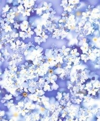 Papier do scrapbookingu transparentny (kalka ozdobna) A4 FLORA NIEZAPOMINAJKI Dekor-Art-Serwis