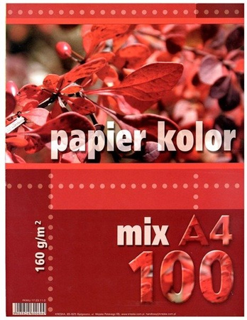 Papier A4 160 g MIX KOLORÓW 100 szt. Kreska