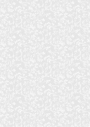 Papier do scrapbookingu transparentny (kalka ozdobna) B2 ROMA BIAŁY Heyda