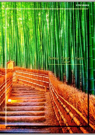 Zeszyt w kratkę A4 60 kartek GLOBE TOP-2000