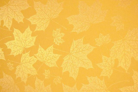 Karton ozdobny wizytówkowy A4 MOC BARW JESIEŃ Galeria Papieru