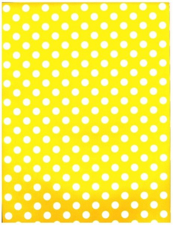 Papier do scrapbookingu jednostronny A4 STRIPES & DOTS zestaw (blok kreatywny) INTERDRUK