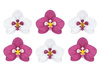 Orchidea RÓŻOWA i BIAŁA wycinanka z papieru 8,5 cm 6 szt. PartyDeco