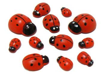 Biedronka drewniana MEGA ZESTAW mix rozmiarów 255 szt.