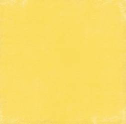 Papier do scrapbookingu dwustronny 30,5 x 30,5 cm SPLENDID SUNSHINE YELLOW NAVY Echo Park