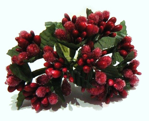 Ryżyk CZERWONY 10 szt. Jucca