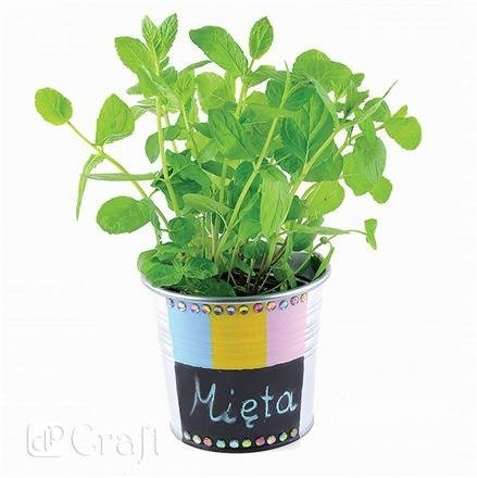 Farba tablicowa BLACK 200 ml dpCraft